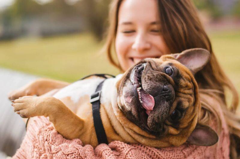 Pet owner with dog getting help choosing pet insurance
